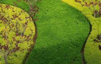 【工程管理】園林綠化養(yǎng)護(hù)中容易被忽視的幾個點(diǎn)