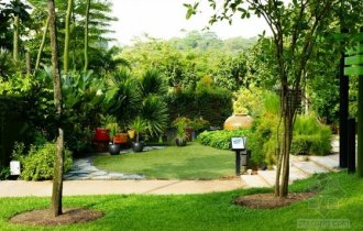 中國園藝用品行業(yè)市場現(xiàn)狀及發(fā)展趨勢分析 家庭園藝將成為一種剛性需求